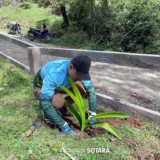Molino de Caldas, jornada de embellecimiento en Sotará, patrimonio histórico de Sotará, JAC El Molino, Smurfit Westrock, espacios culturales en Sotará