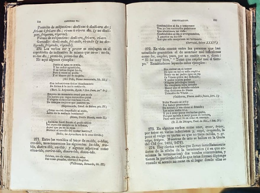 El-idioma-ordena-la-vida-publica-3.jpg