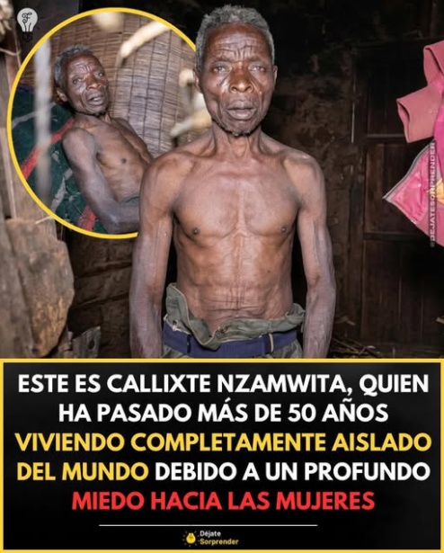 Las más deplorables fobias Las más deplorables fobias
