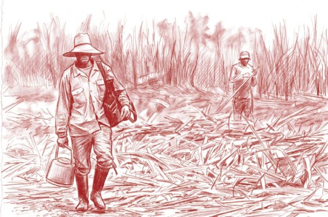 Familias afros pagarán la grotesca quiebra que los dueños del Ingenio convierten en buen negocio Familias afros pagarán la grotesca quiebra que los dueños del Ingenio convierten en buen negocio