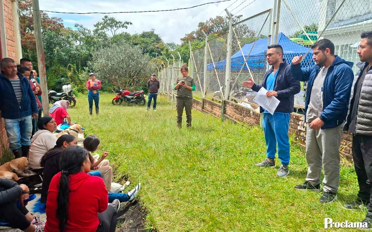 Nariño llevará esterilizaciones gratuitas a seis zonas