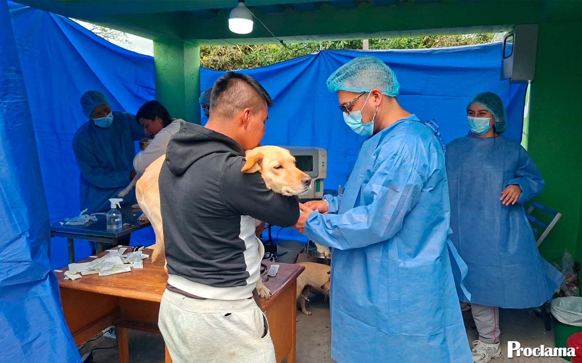 Narino-llevara-esterilizaciones-gratuitas-a-seis-zonas.jpg