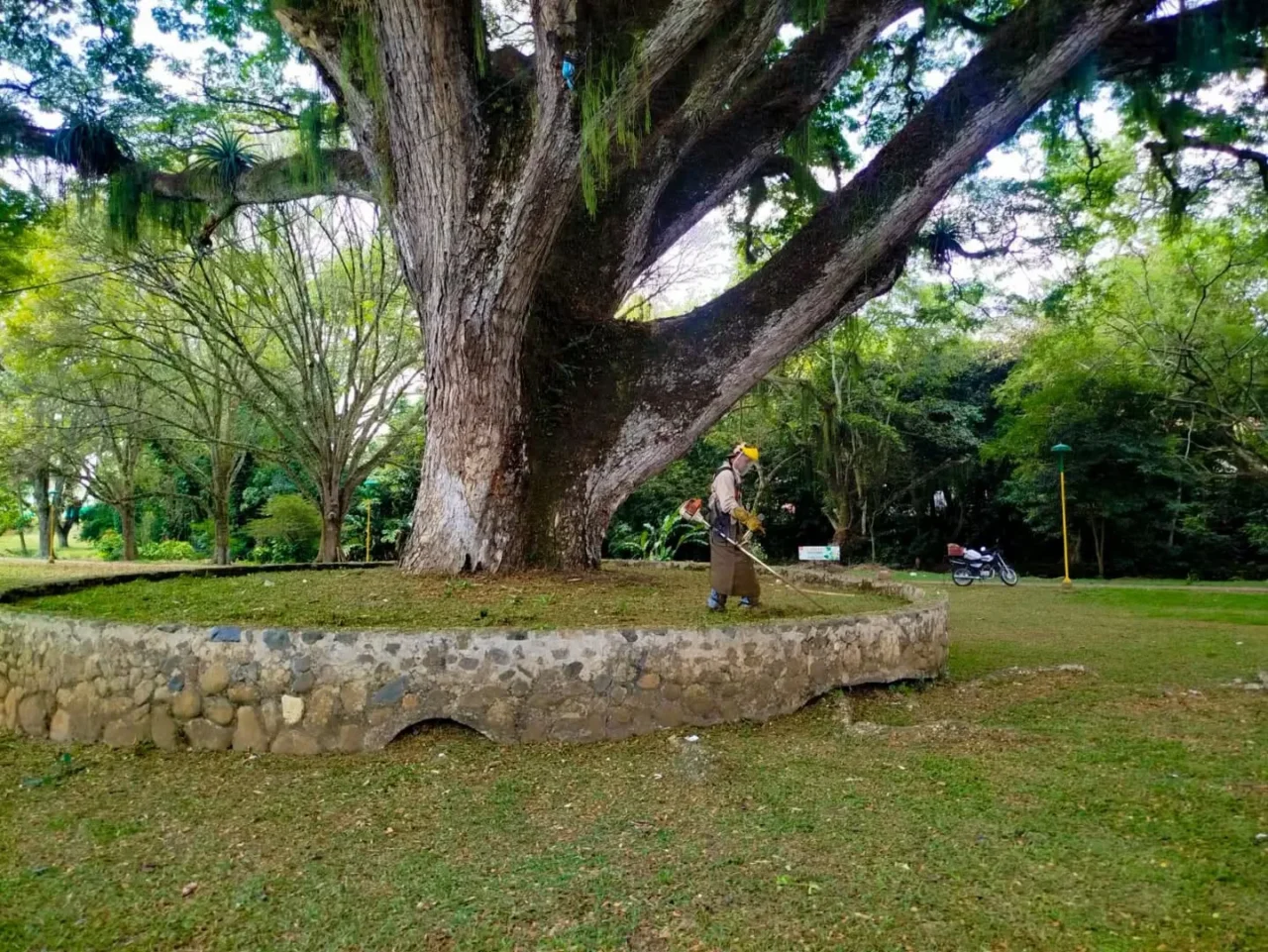 caloto-parques-1280x961.webp