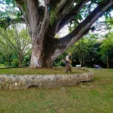 Funcionarios realizan labores de poda, guadañado y limpieza en un parque del municipio de Caloto, Cauca