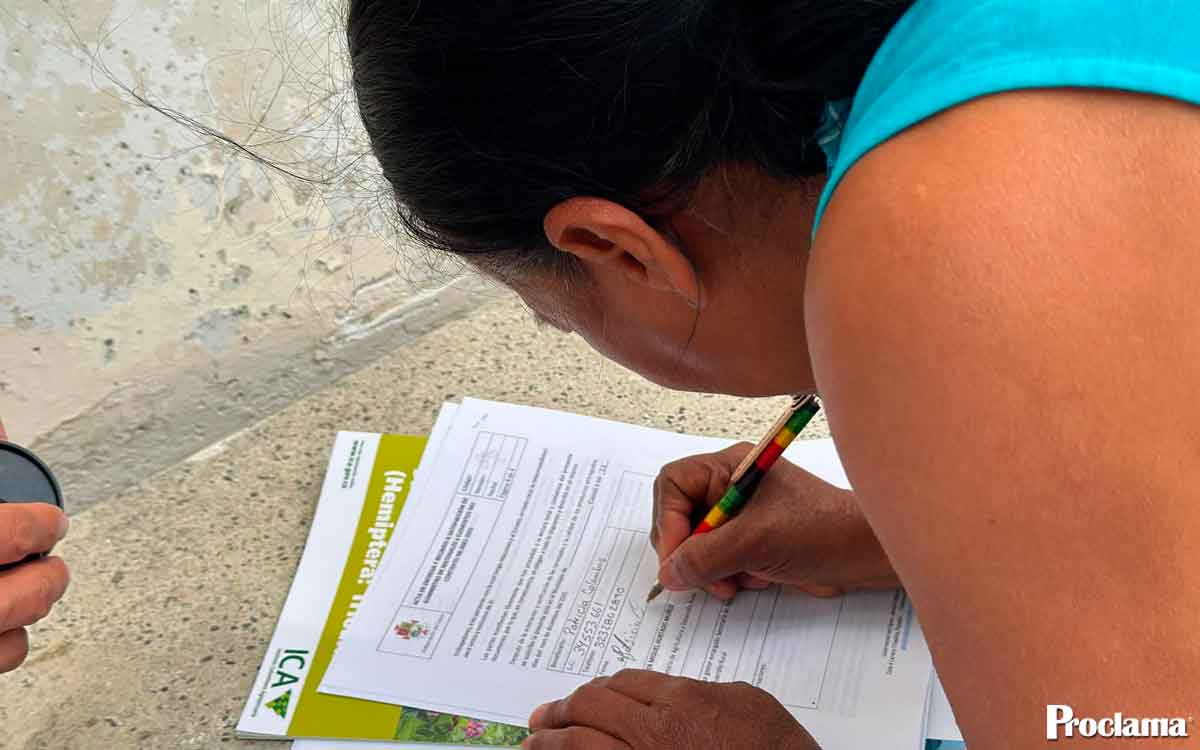 Familias rurales de Puracé reciben insumos agropecuarios Familias rurales de Puracé reciben insumos agropecuarios