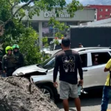 Firmas falsas frenan poda de árboles en Popayán
