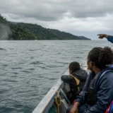 Avistamiento de una ballena jorobada desde una lancha con turistas y guía local en el Pacífico colombiano.
