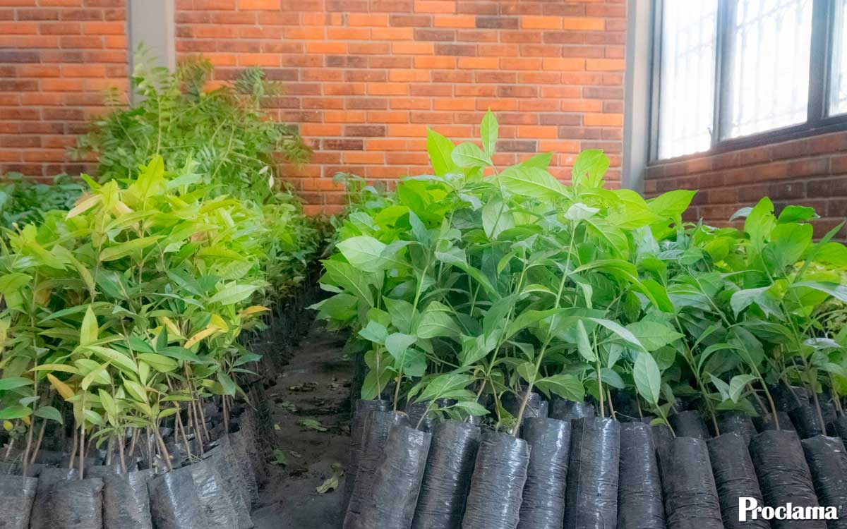 Páez entrega estufas ecoeficientes a familias rurales