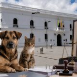 Alcaldía de Popayán incumple la Ley Ángel