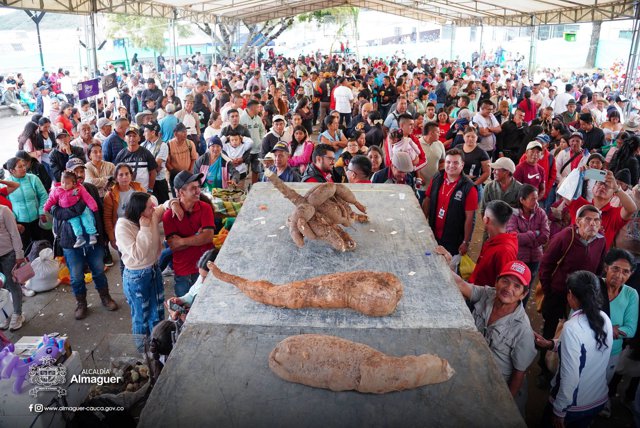 Almaguer reconoce el trabajo de sus campesinos Almaguer reconoce el trabajo de sus campesinos
