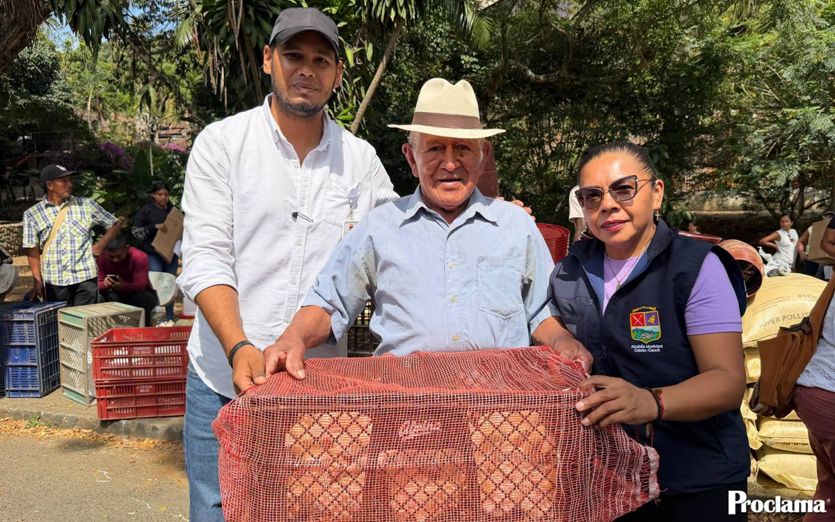 Caloto entrega pollos de engorde para emprendimientos Caloto entrega pollos de engorde para emprendimientos