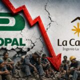 El cierre de Propal y el ingenio La Cabaña
