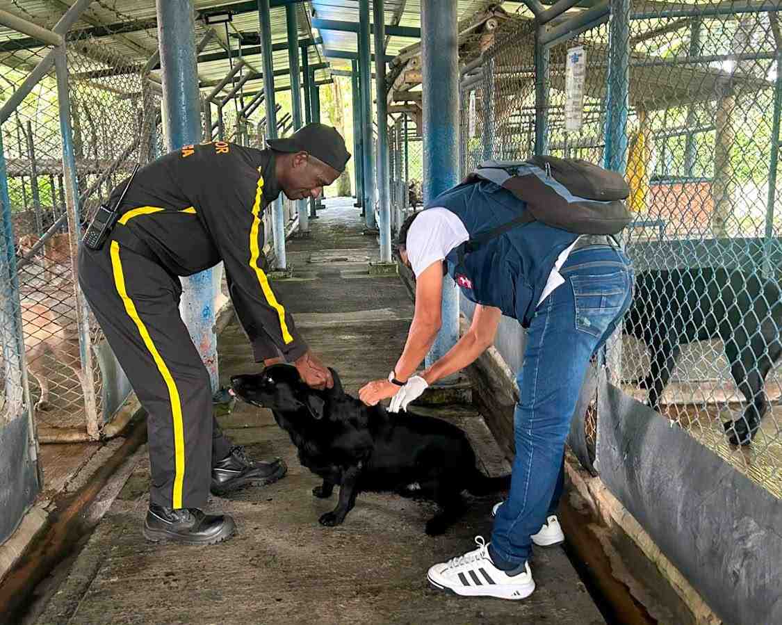 Vacunacion-de-perros-y-gatos-llego-a-Incauca-en-Miranda.jpg