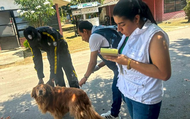 Vacunación de perros y gatos llegó a Incauca en Miranda