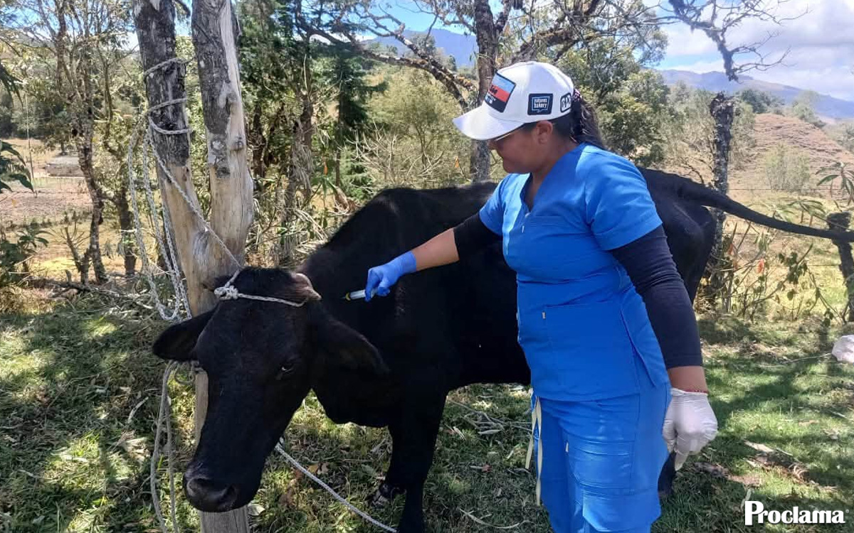 Productores-de-La-Sierra-reciben-asistencia-agropecuaria.jpg