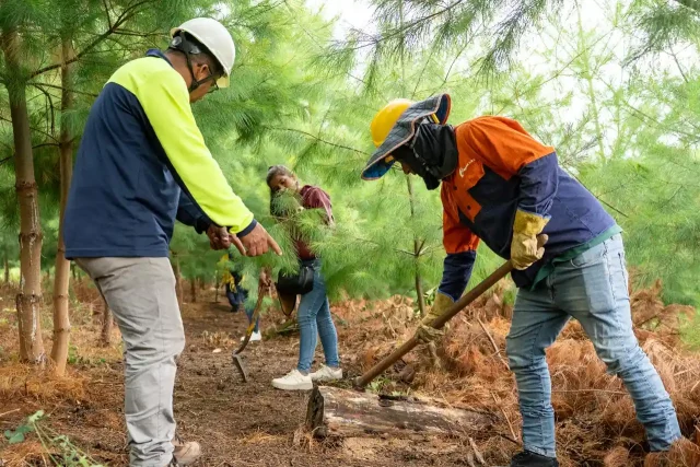 Sotará prepara comunidades para enfrentar incendios forestales