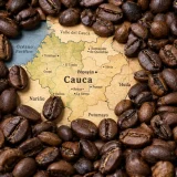 Mapa del Cauca rodeado de granos de café tostado