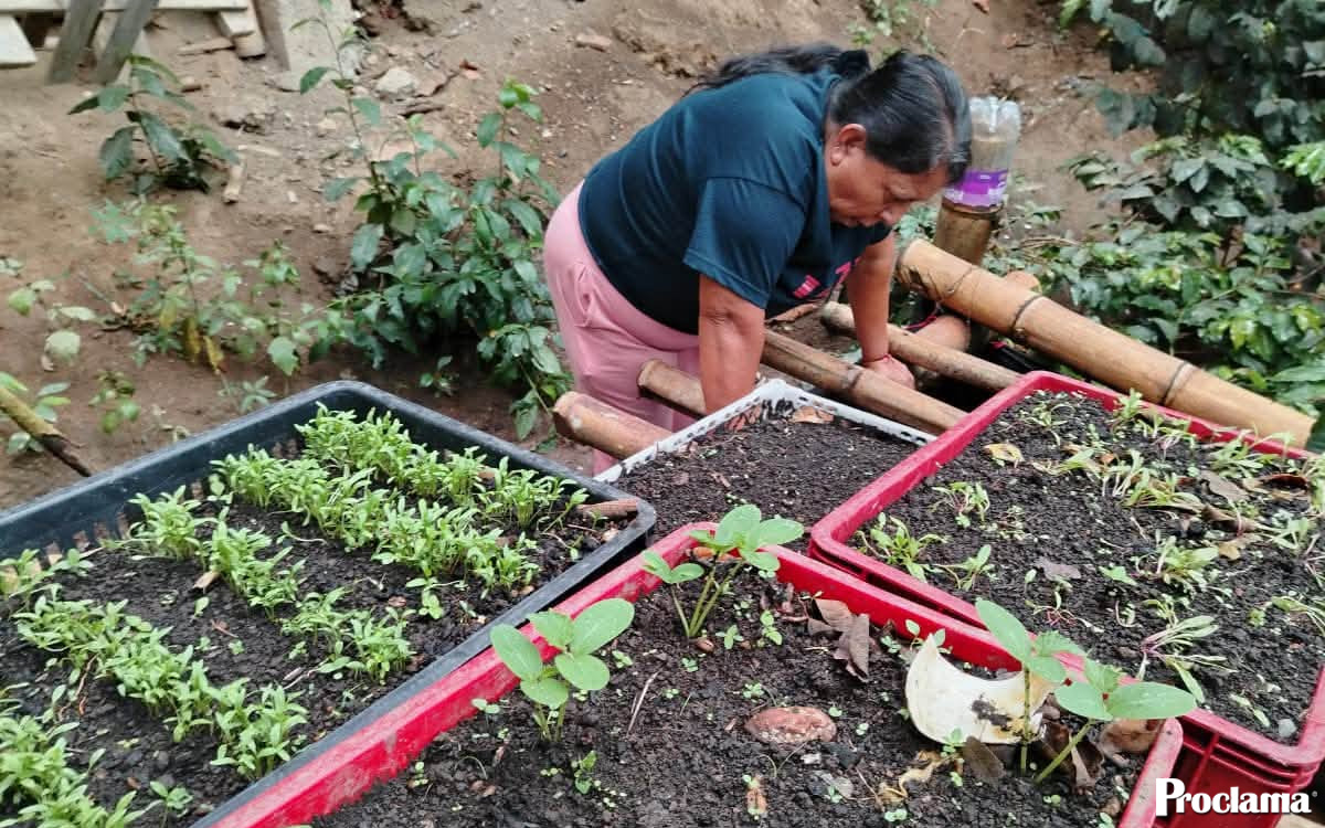 Adultos mayores de La Sierra crean huertas caseras