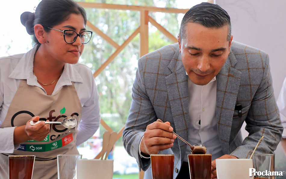 Cauca destina más de $65.000 millones a caficultura