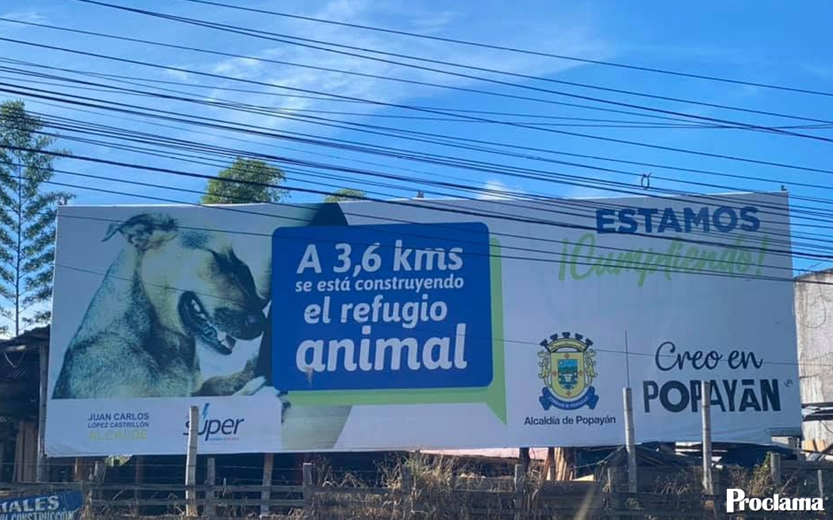 Denuncian falta de medicamentos para salvar animales en Popayán Denuncian falta de medicamentos para salvar animales en Popayán