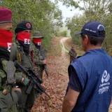 ELN libera a adolescente de 17 años en Cauca