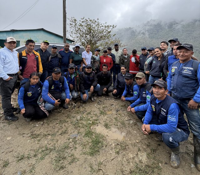 Miranda, tierra de Pumas