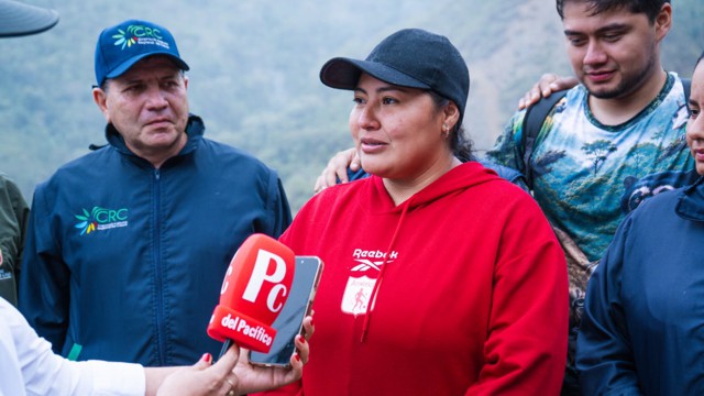 Miranda, tierra de Pumas